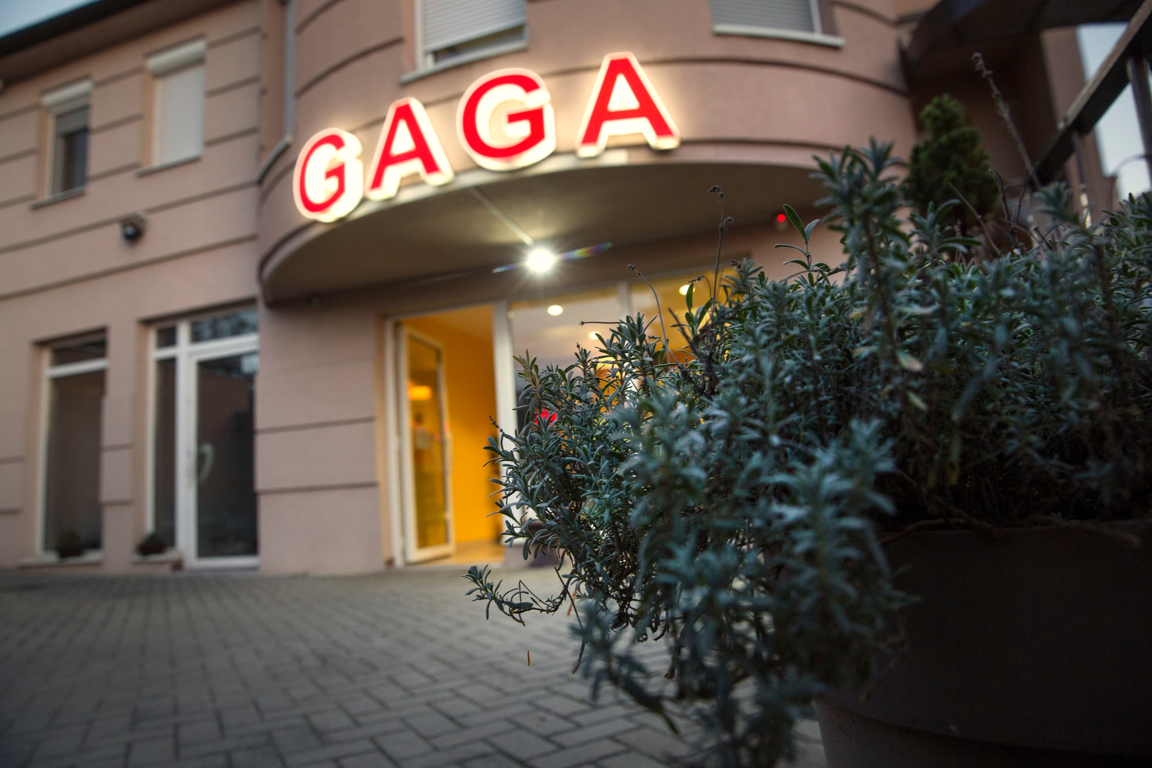 Menjačnica Gaga Hadži Ruvimova — 9